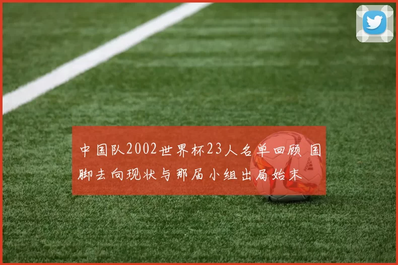 中国队2002世界杯23人名单回顾 国脚去向现状与那届小组出局始末