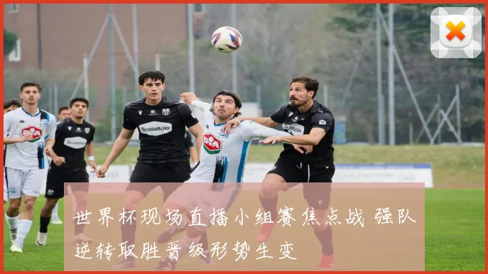 世界杯现场直播小组赛焦点战 强队逆转取胜晋级形势生变