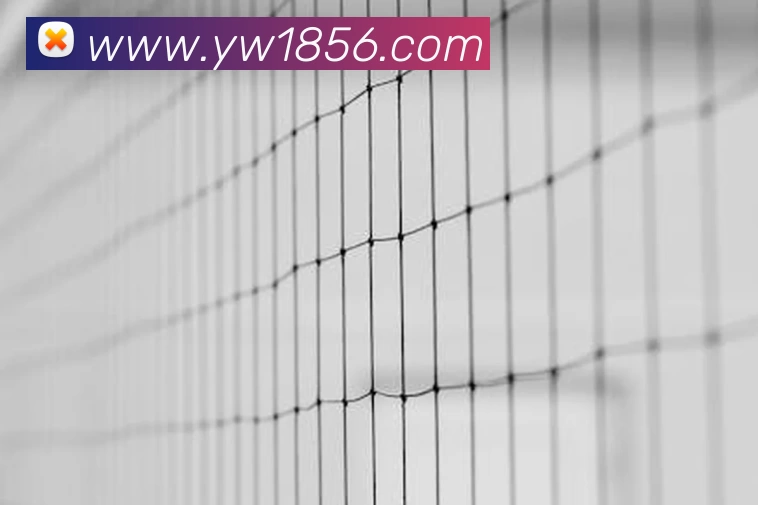 乐竞官网平台 - 乐竞(中国)一站式服务平台品牌故事