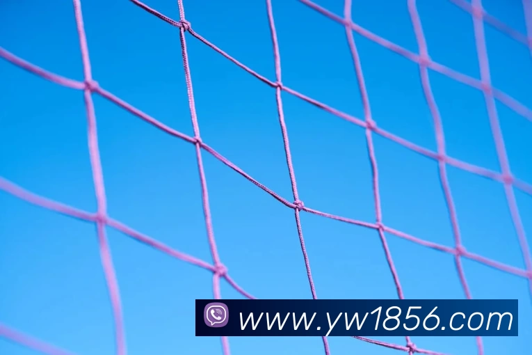 乐竞官网平台 - 乐竞(中国)一站式服务平台APP 体育赛事宣传图